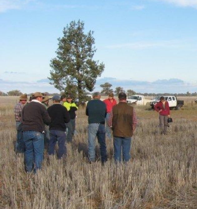 2010 – ‘Stubble Trouble’ Field Walks and discussions