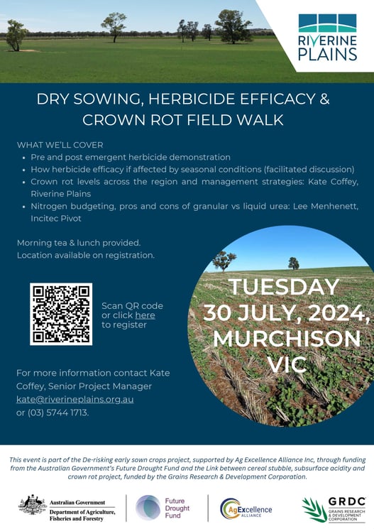 Derisking-early-sown-crops-and-crown-rot-paddock-walk-July-2024