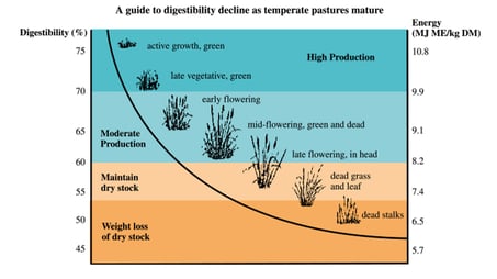 Digestibility decline temperate pastures (Prograze)