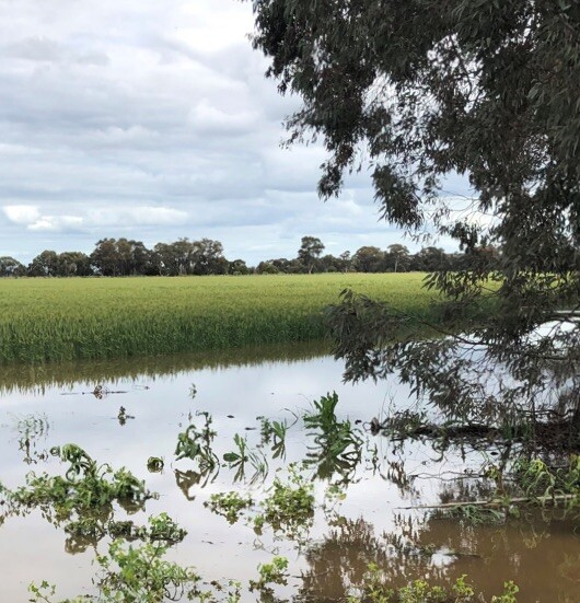 Farm impacted by wet weather