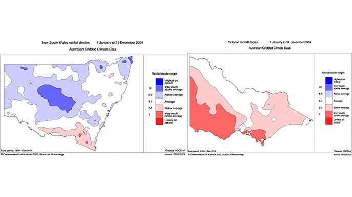 Figure 1 BoM 2024 NSW, Vic Rainfall