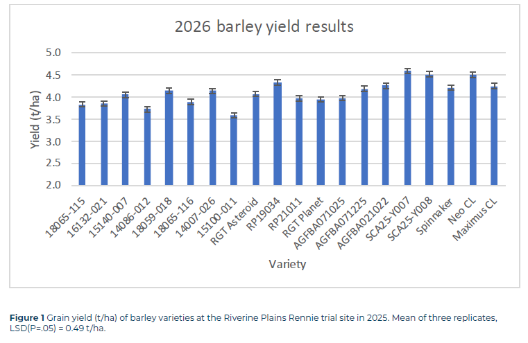 Figure 1 Malt barley 2026 TB