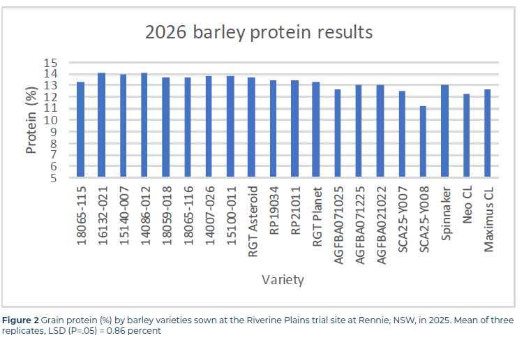 Figure 2 Malt barley 2026 TB