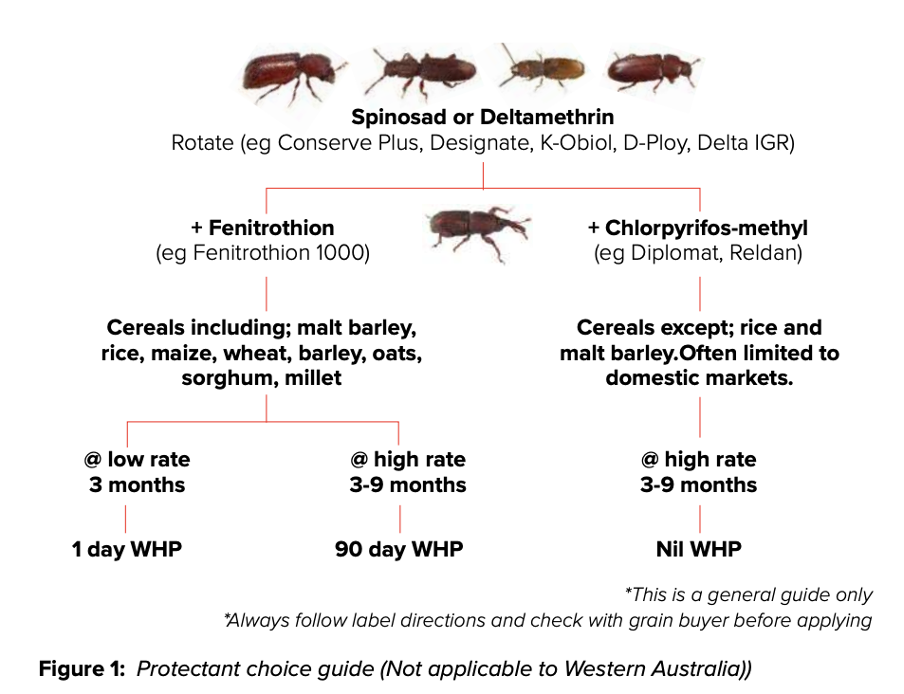 Grain protectant flow chart