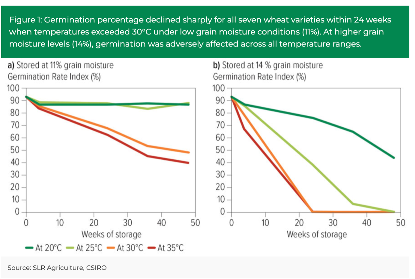 Grain storage and grain germination