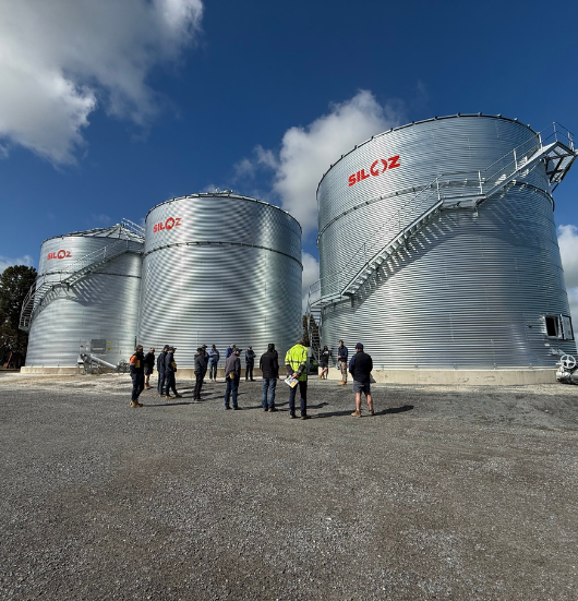 Grain storage