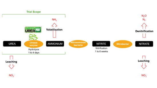 Green urea trial Figure 1