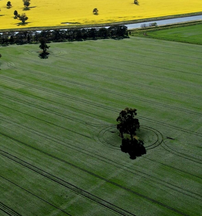 Hyper Yielding Crops - Teaser-1