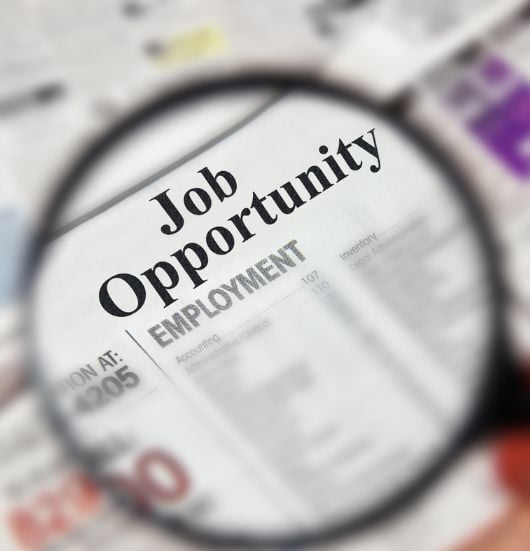 Job opportunity image 530 x 551px