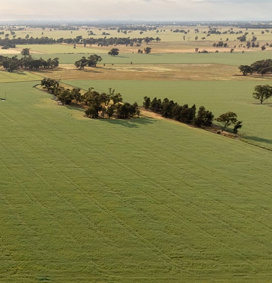 Low carbon landscapes 530 x 550