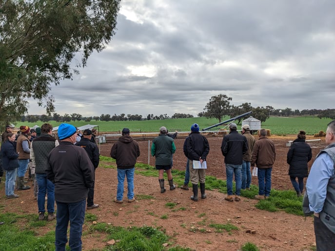 Farmers attended an event in Howlong to discuss eID technology and stock containment area design.