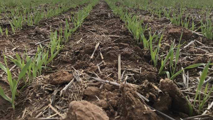 AgrifuturesFull