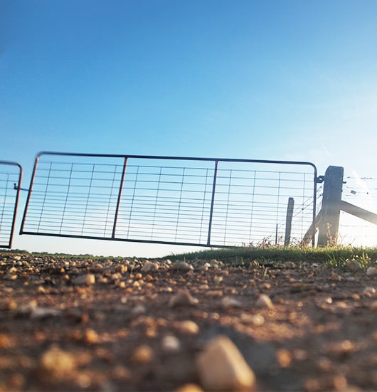 RiskWi$e gate featured image