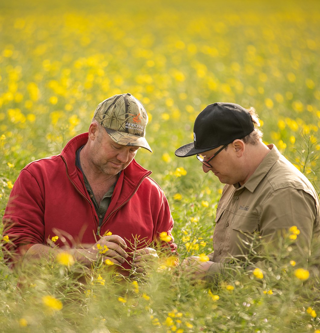 SCOUT for Australian Farmers feature image