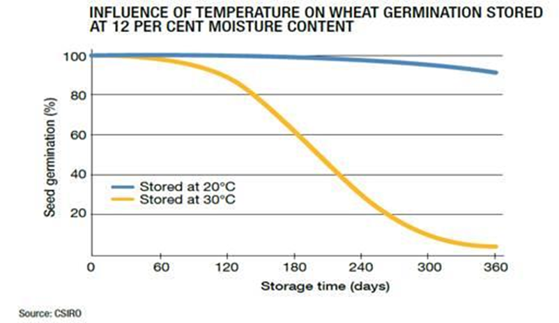 Graph displaying influence of temperature on wheat germination