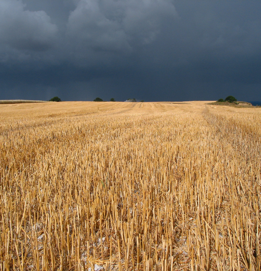 Dark clouds over stubble - Rainfall accuracy