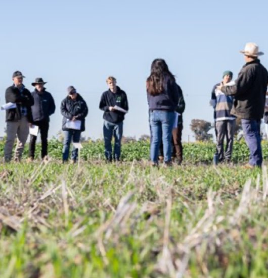 Farmers at the Sanger Alternative nitrogen sources field day, 2025-1