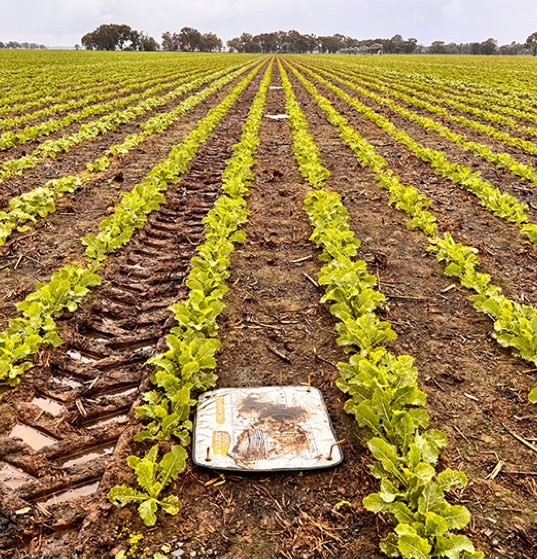 Slug monitoring mats-2