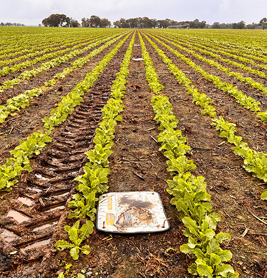 Slug monitoring mats