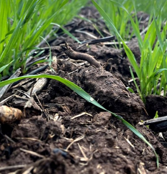 Soil extension activities-1