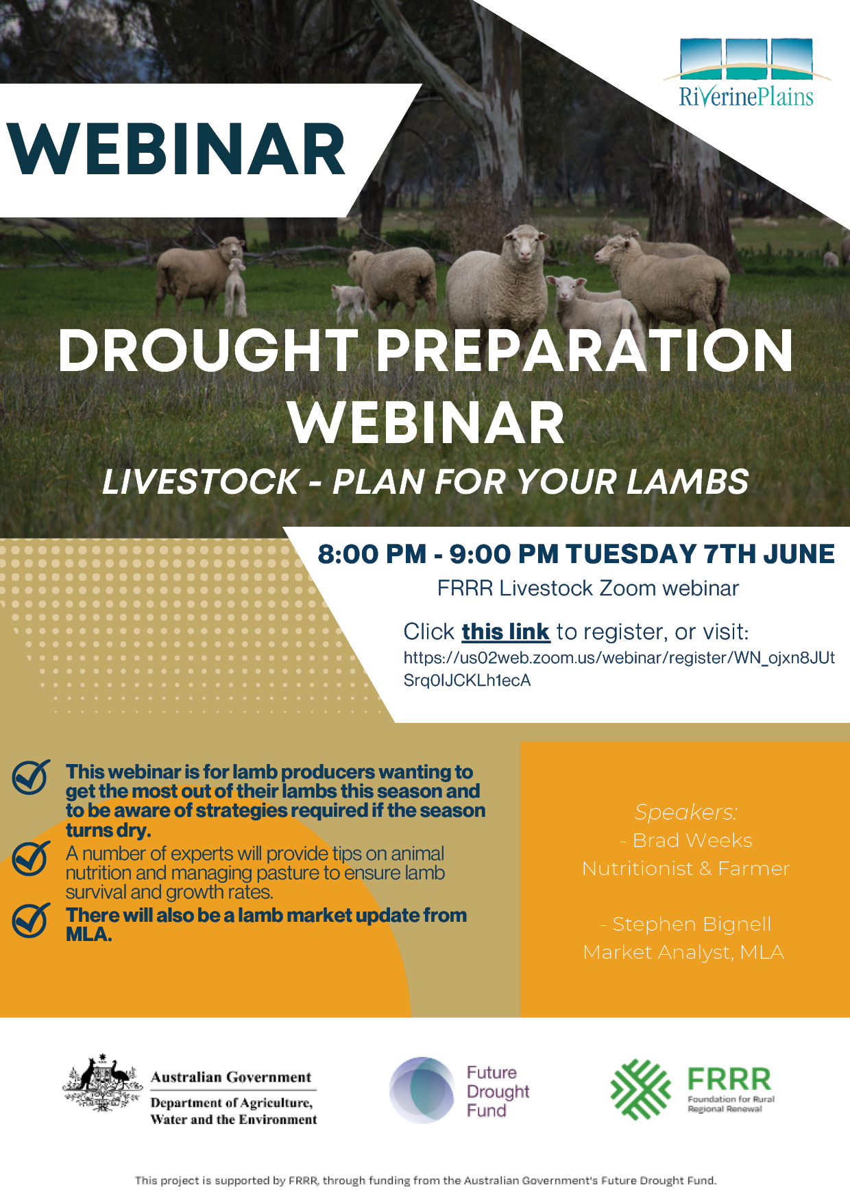 Drought preparation for lamb producers webinar flyer